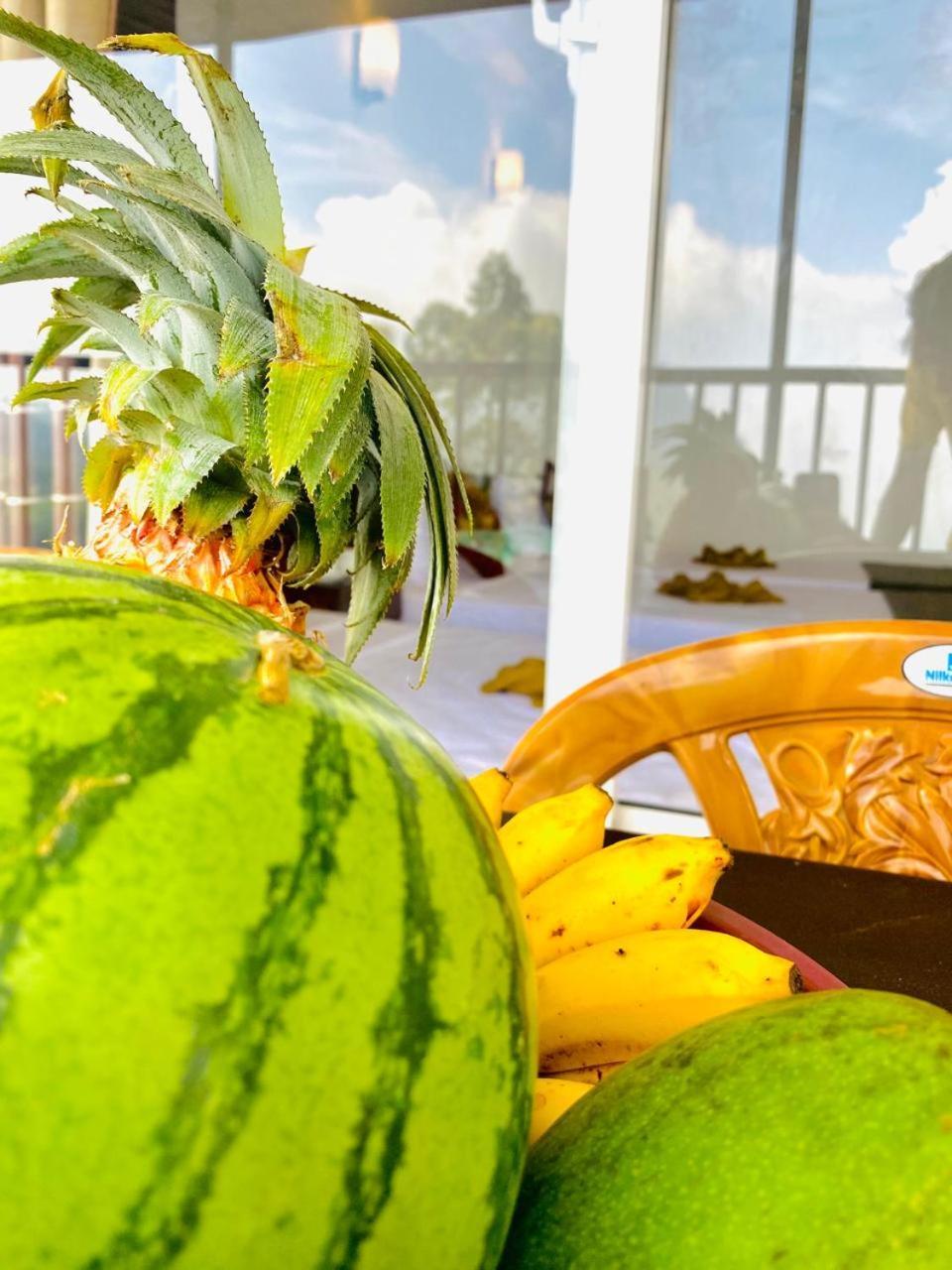 Bed and Breakfast Pleasant Peak Ella Esterno foto