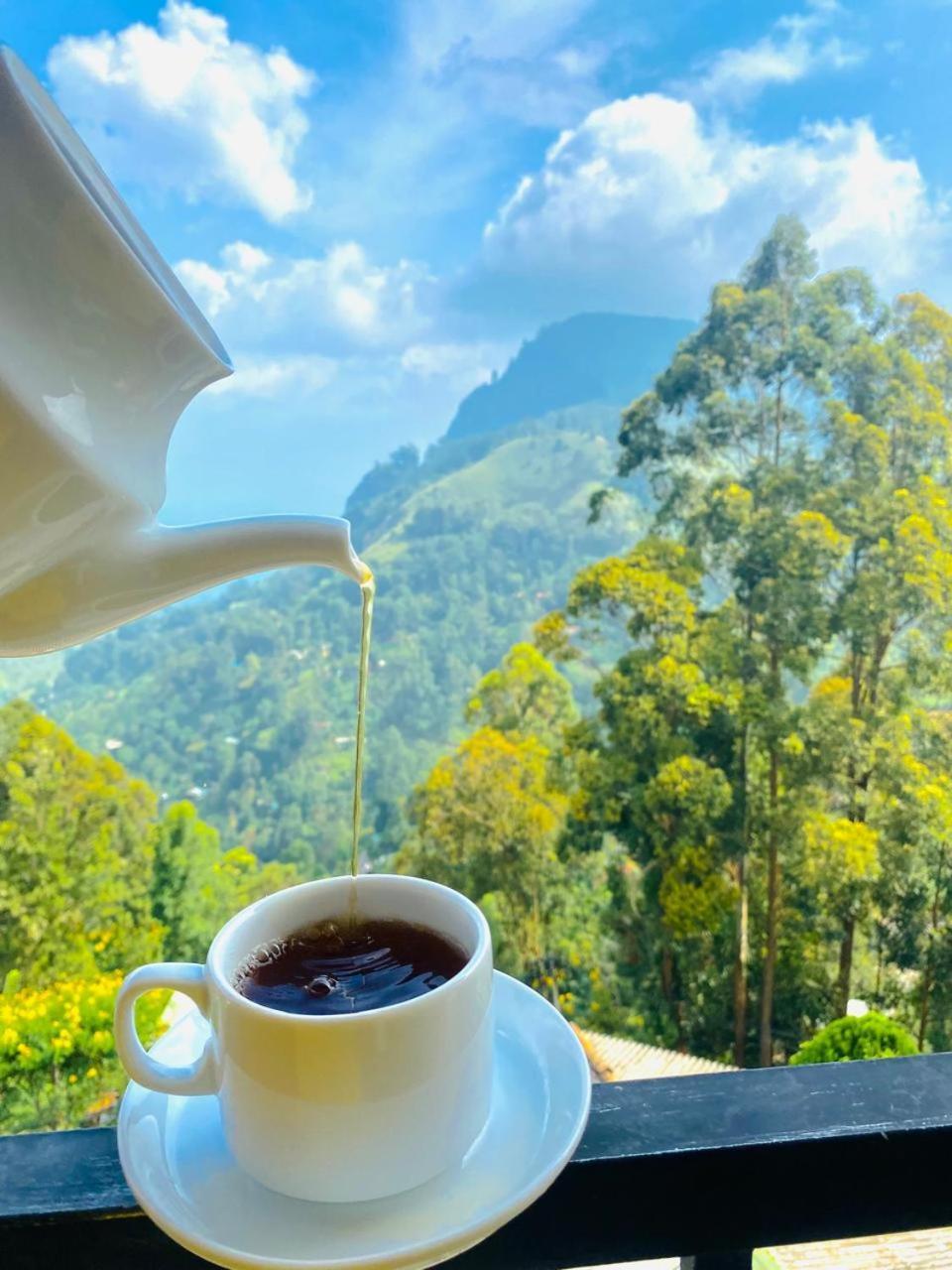 Bed and Breakfast Pleasant Peak Ella Esterno foto