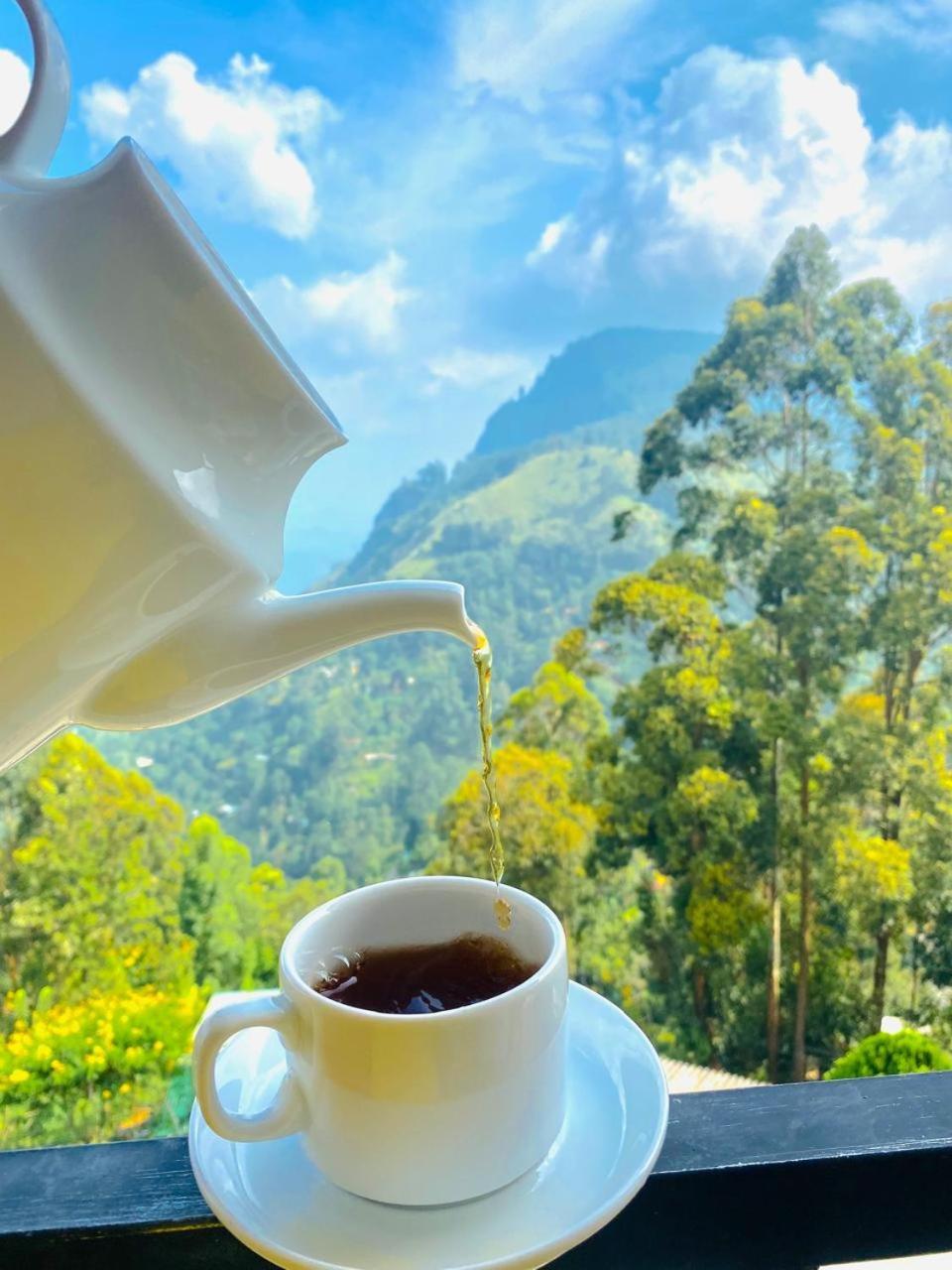 Bed and Breakfast Pleasant Peak Ella Esterno foto