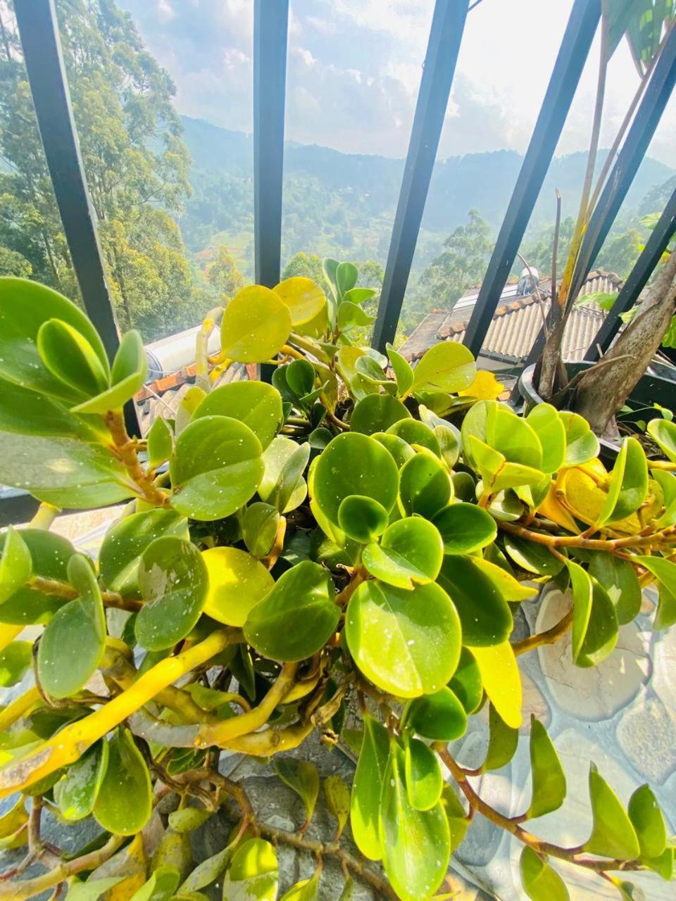 Bed and Breakfast Pleasant Peak Ella Esterno foto